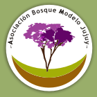 Logo
                        BosqueModelo