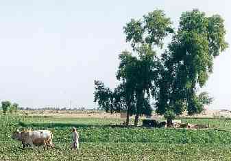 Interface d'un mod&egrave;le